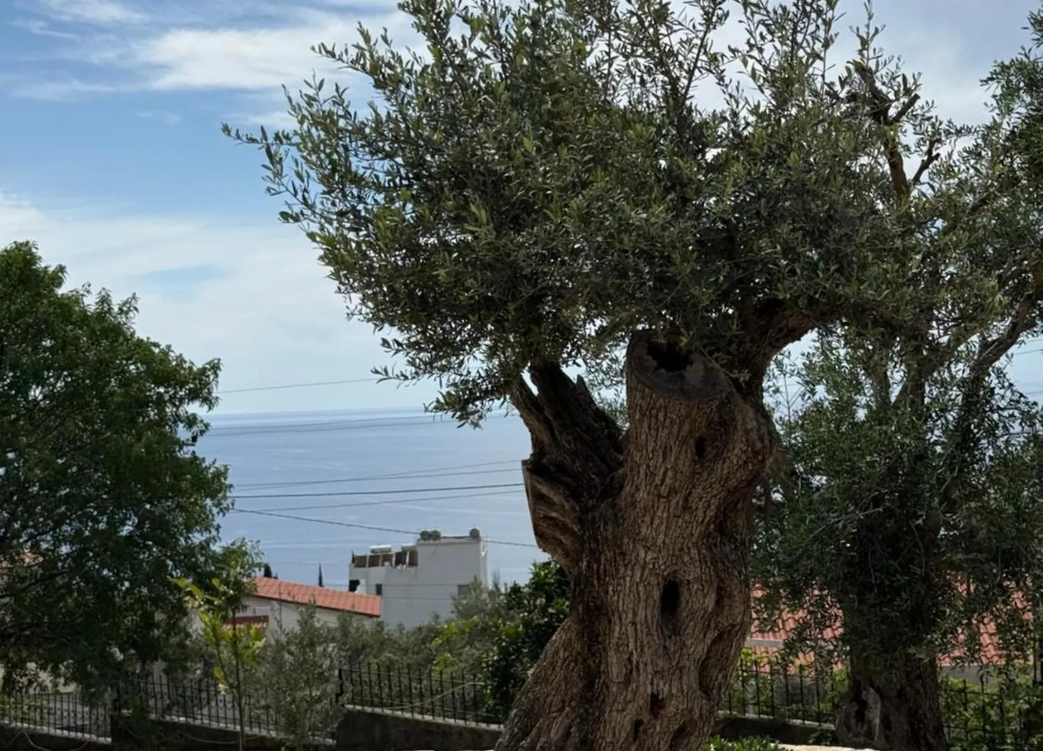 Affittacamere Villa Thomas Dhërmi Albania